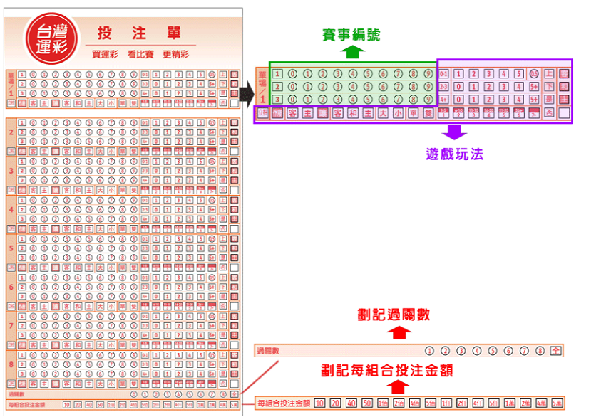 2024完整分析 – 線上運彩與台灣運彩：揭開店面與線上之間的巨大差異！｜諾亞娛樂城